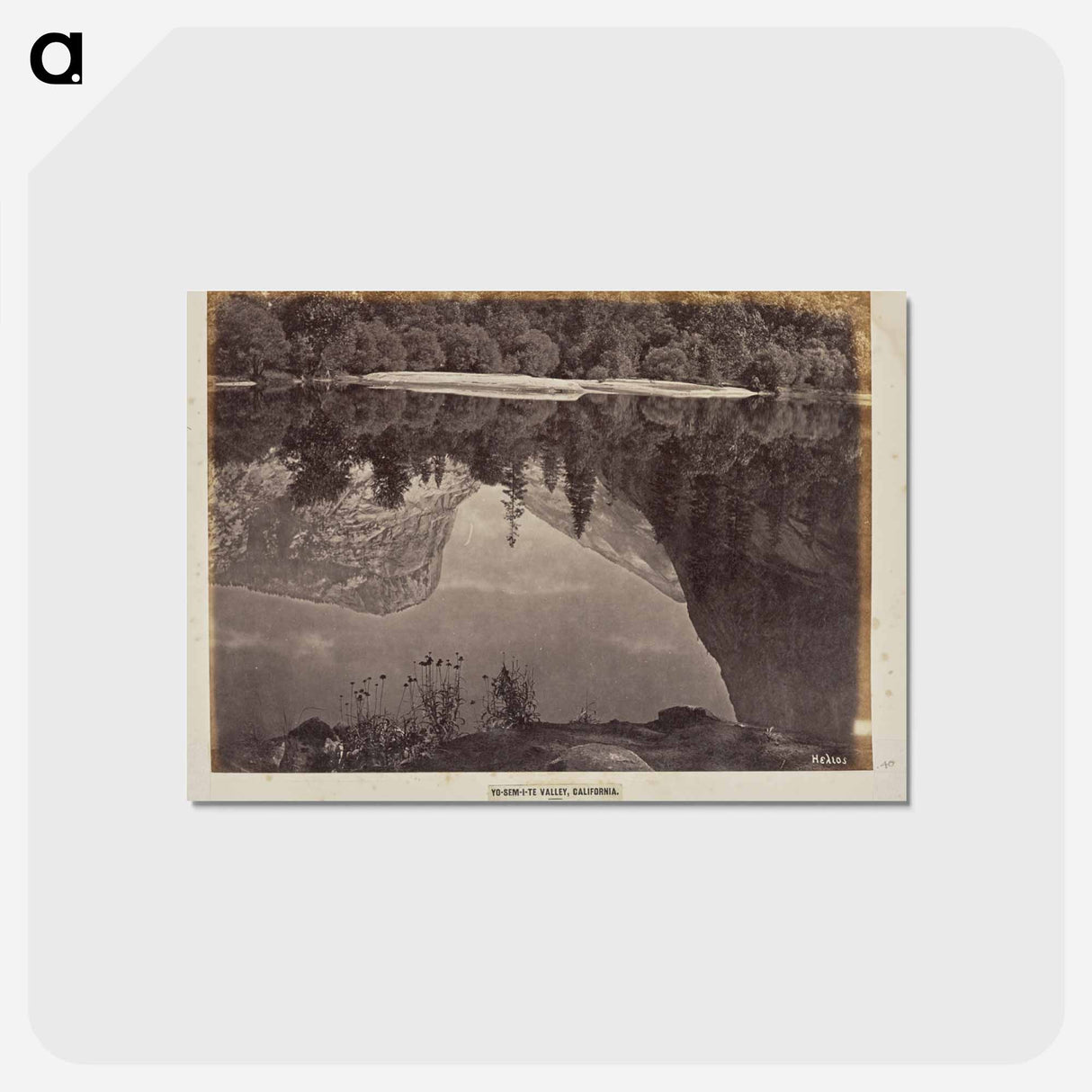 アートポストカード-Mirror Lake
- エドワード マイブリッジ Postcard.