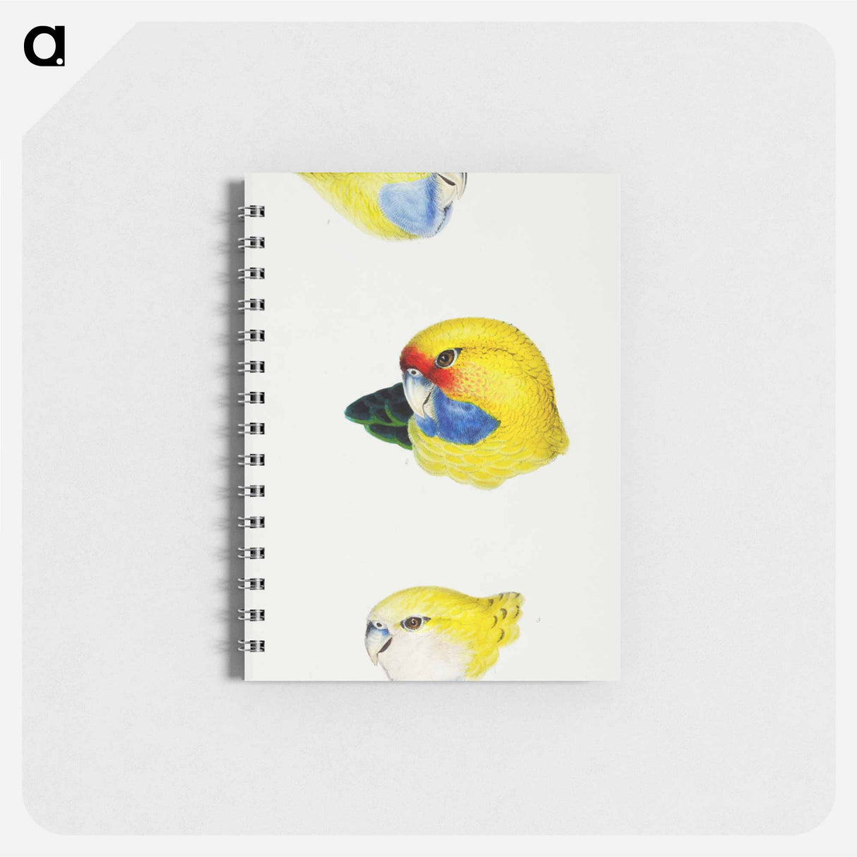 アートメモ帳-Australian Rosellas and Parrakeets
- ジョン グールド Memo.