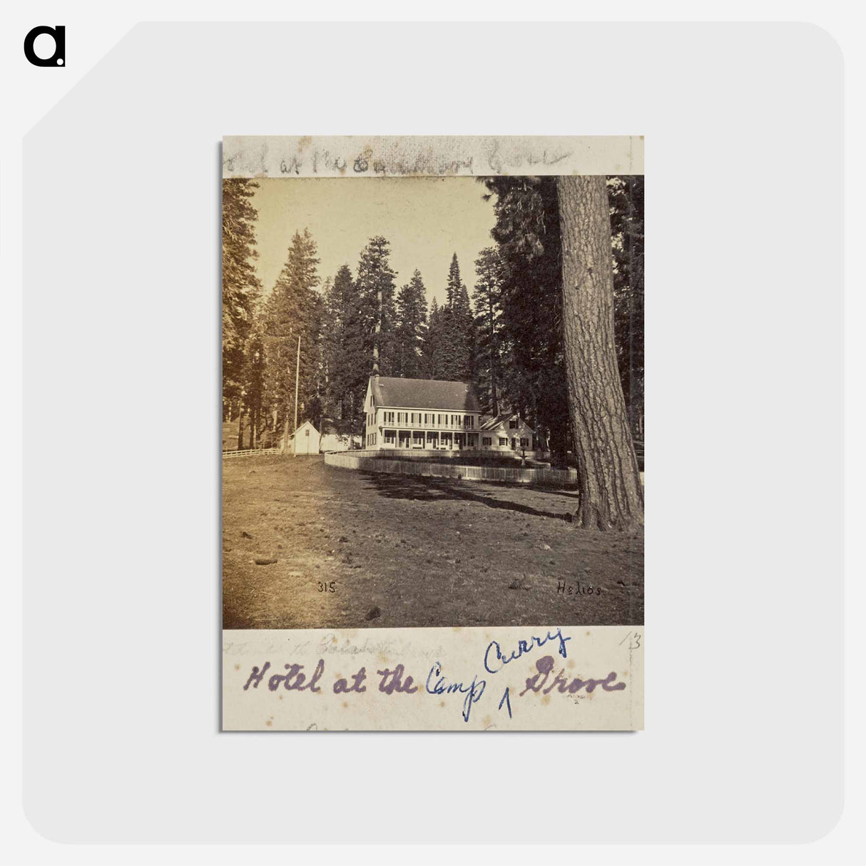 アートポストカード-Hotel at Calaveras Grove
- エドワード マイブリッジ Postcard.
