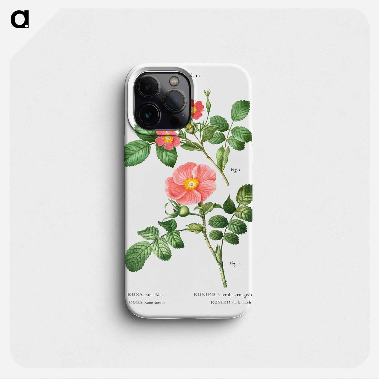 Redleaf rose (Rosa rubrifolia) 2. Japanese rose (Rosa kamtchatica) - ピエール ジョゼフ ルドゥーテ Phone Case.