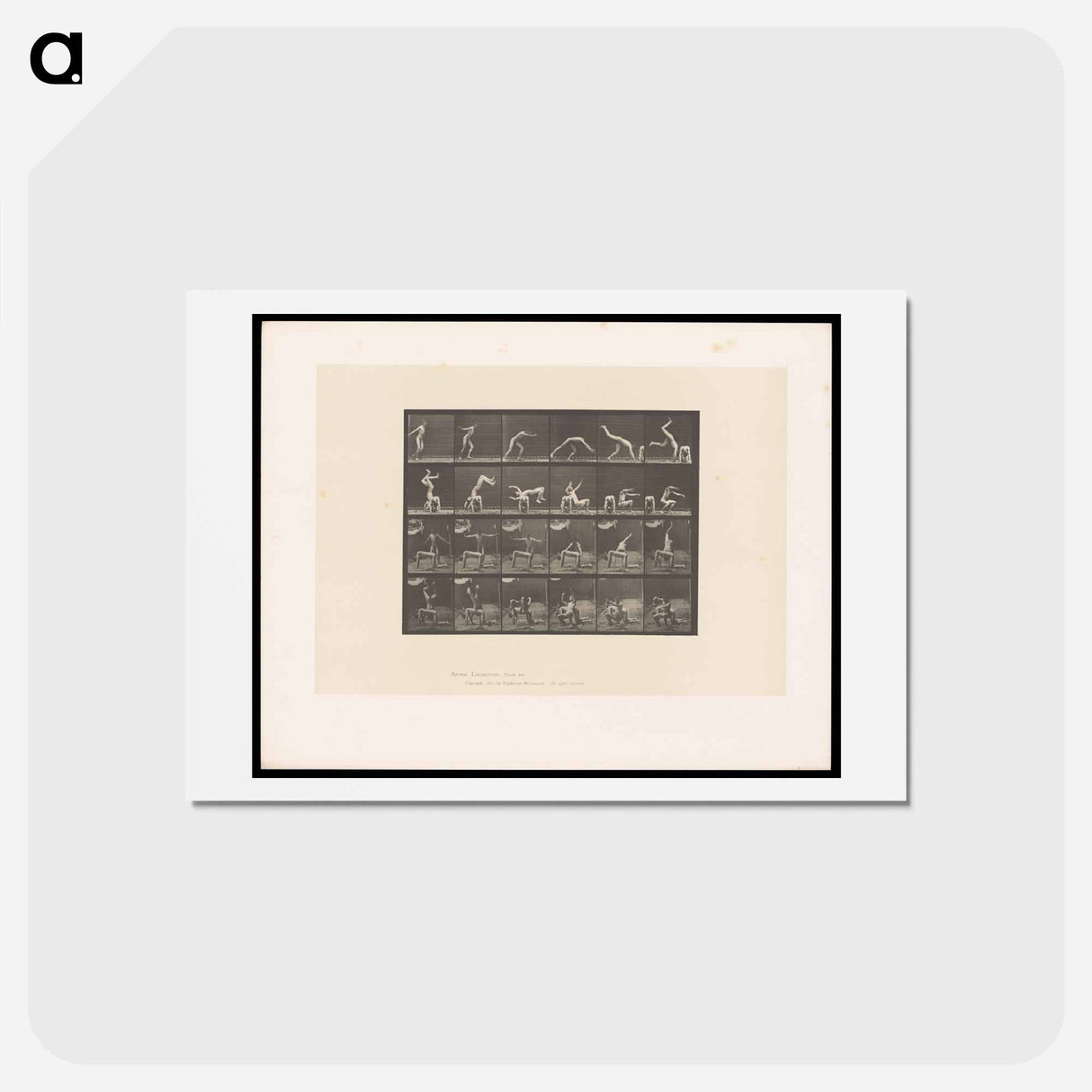 アートポストカード-Handspring
- エドワード マイブリッジ Postcard.