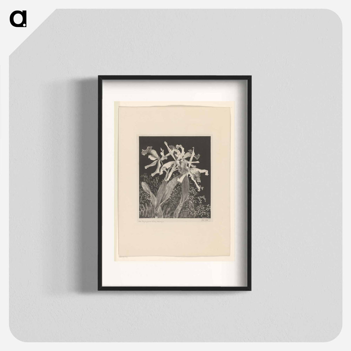 Orchideeën - Theo van Hoytema Poster.