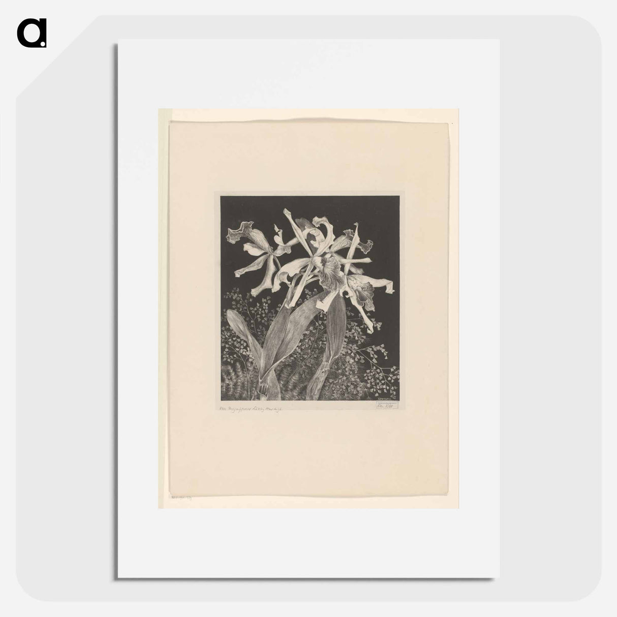 Orchideeën - Theo van Hoytema Poster.