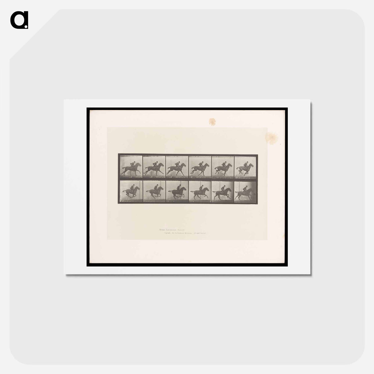 アートポストカード-Man on Horse
- エドワード マイブリッジ Postcard.