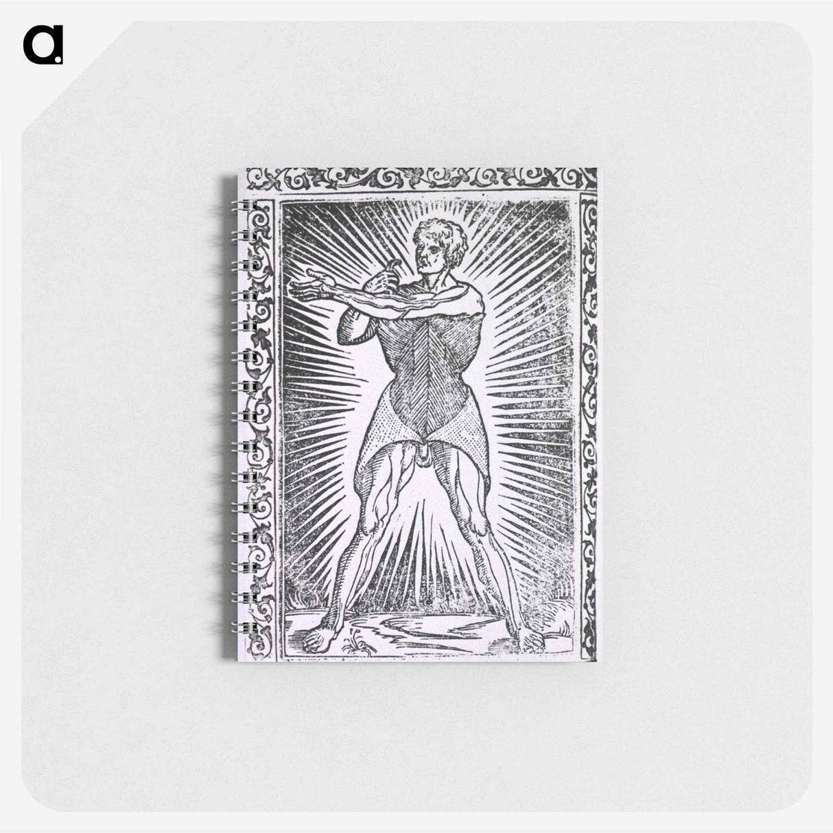 アートメモ帳-Abdominal Muscles
- 国立医学図書館 Memo.