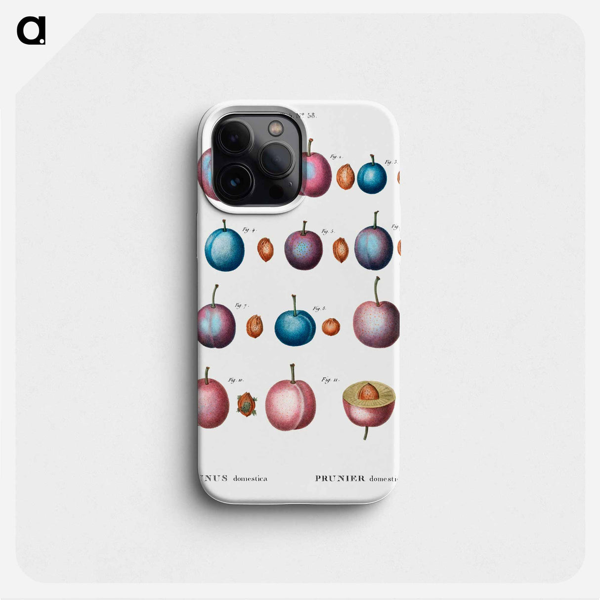 Common plum - ピエール ジョゼフ ルドゥーテ Phone Case.