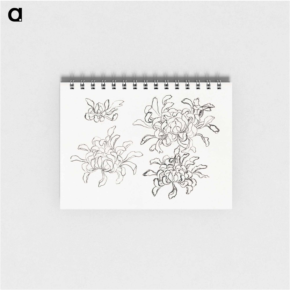 Hokusai's chrysanthemum - 葛飾 北斎 Memo.