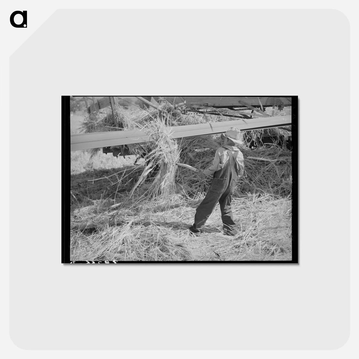 アートポストカード-Pitching Grain
- ラッセル リー Postcard.