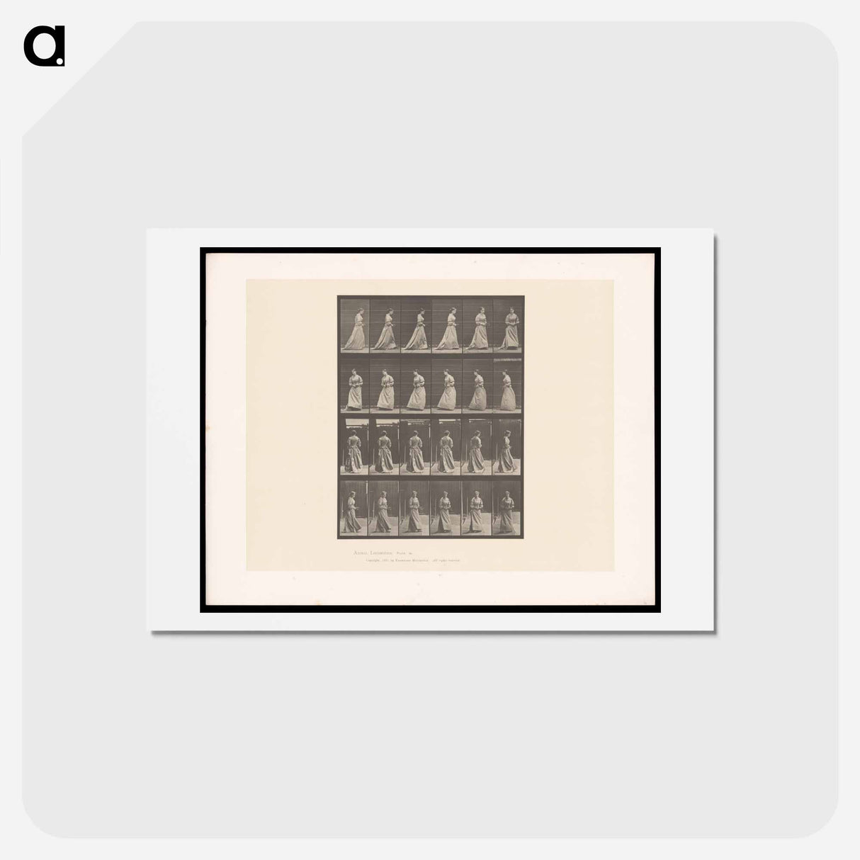 アートポストカード-Woman Pacing
- エドワード マイブリッジ Postcard.