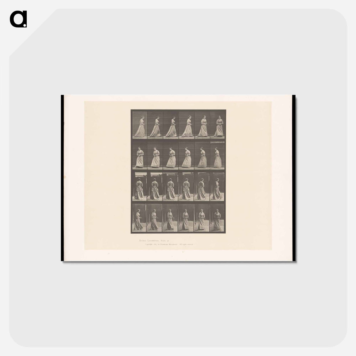 アートポストカード-Woman Pacing
- エドワード マイブリッジ Postcard.