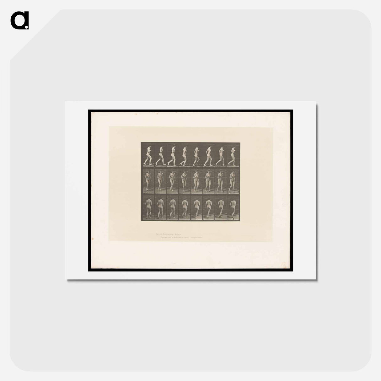 アートポストカード-Running Woman
- エドワード マイブリッジ Postcard.