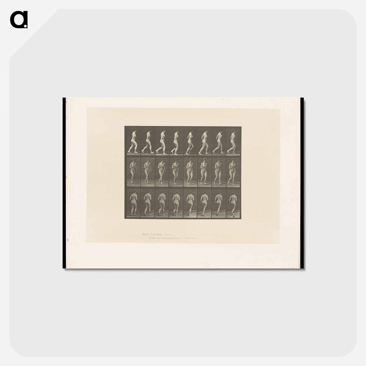 アートポストカード-Running Woman
- エドワード マイブリッジ Postcard.