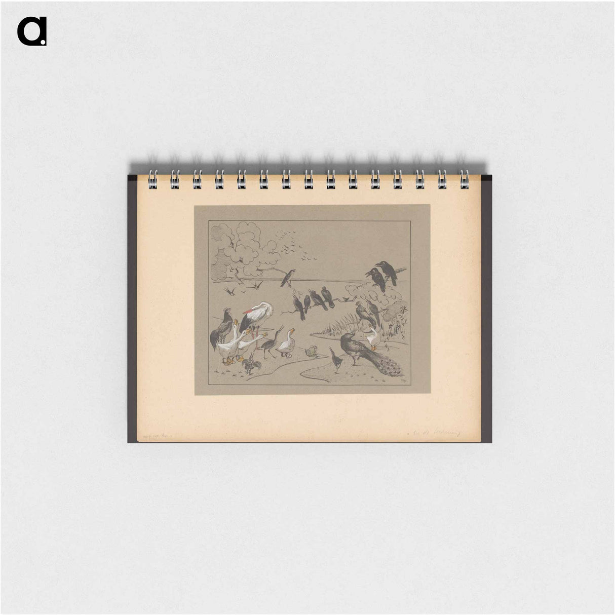 Groep diverse vogels en een kikker - テオ ヴァン ホイテマ Memo.