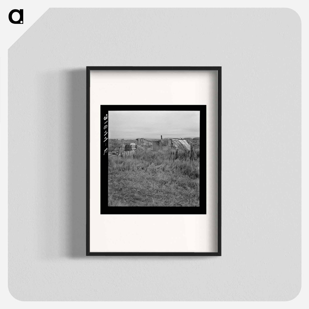 Untitled photo - Dorothea Lange Poster.