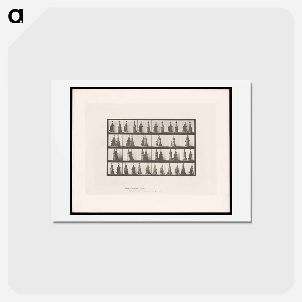 アートポストカード-Meeting Women
- エドワード マイブリッジ Postcard.