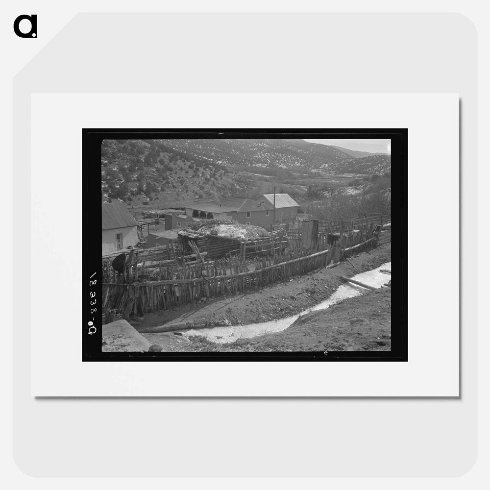 Untitled photo - ドロテア ラング Poster.