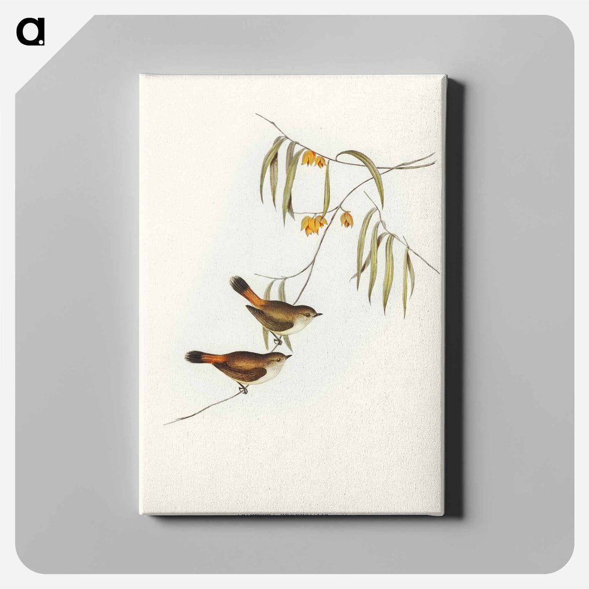 アートパネル-Chestnut-rumped Acanthiza
- オーストラリアの鳥 Canvas.