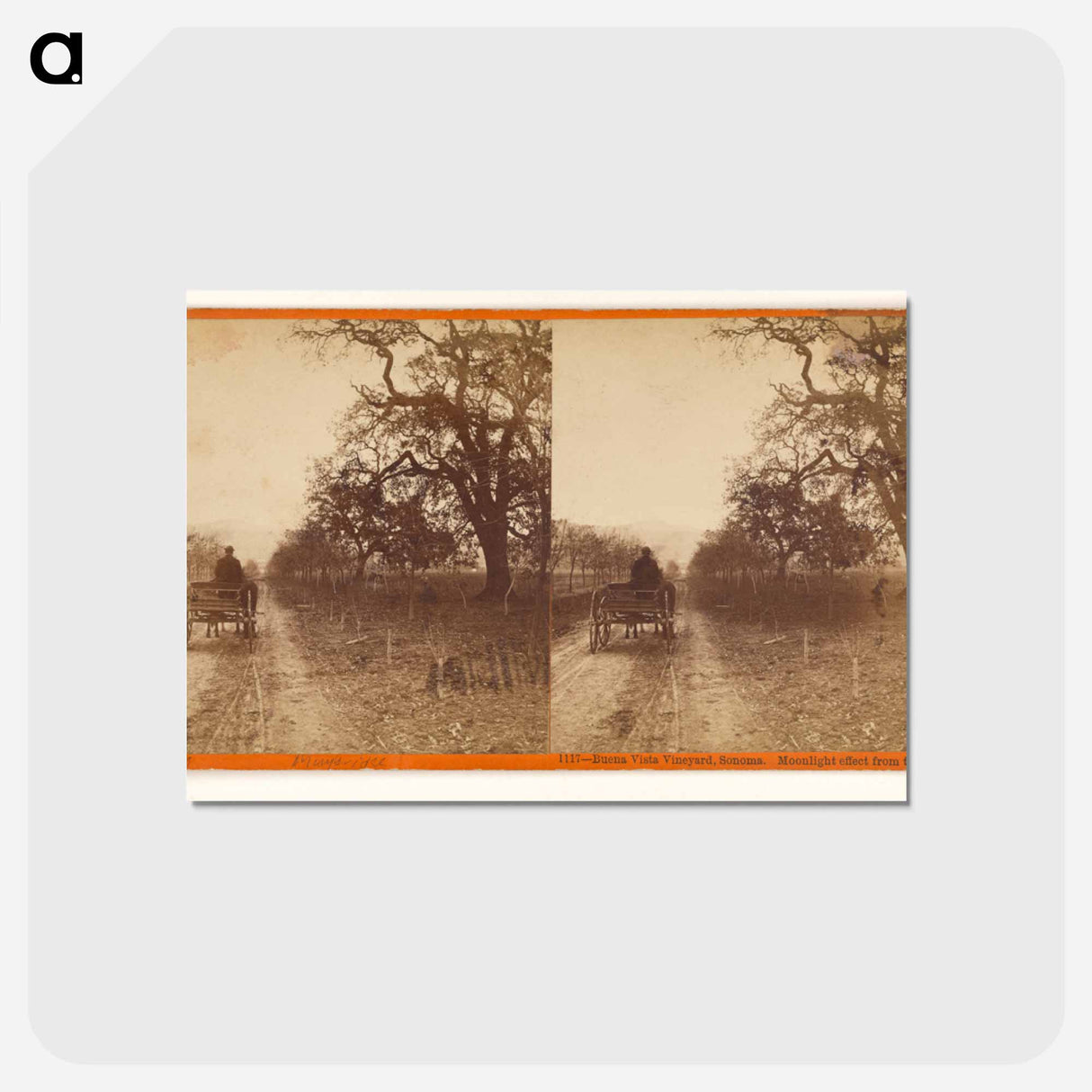 アートポストカード-Buena Vista Vineyard
- エドワード マイブリッジ Postcard.