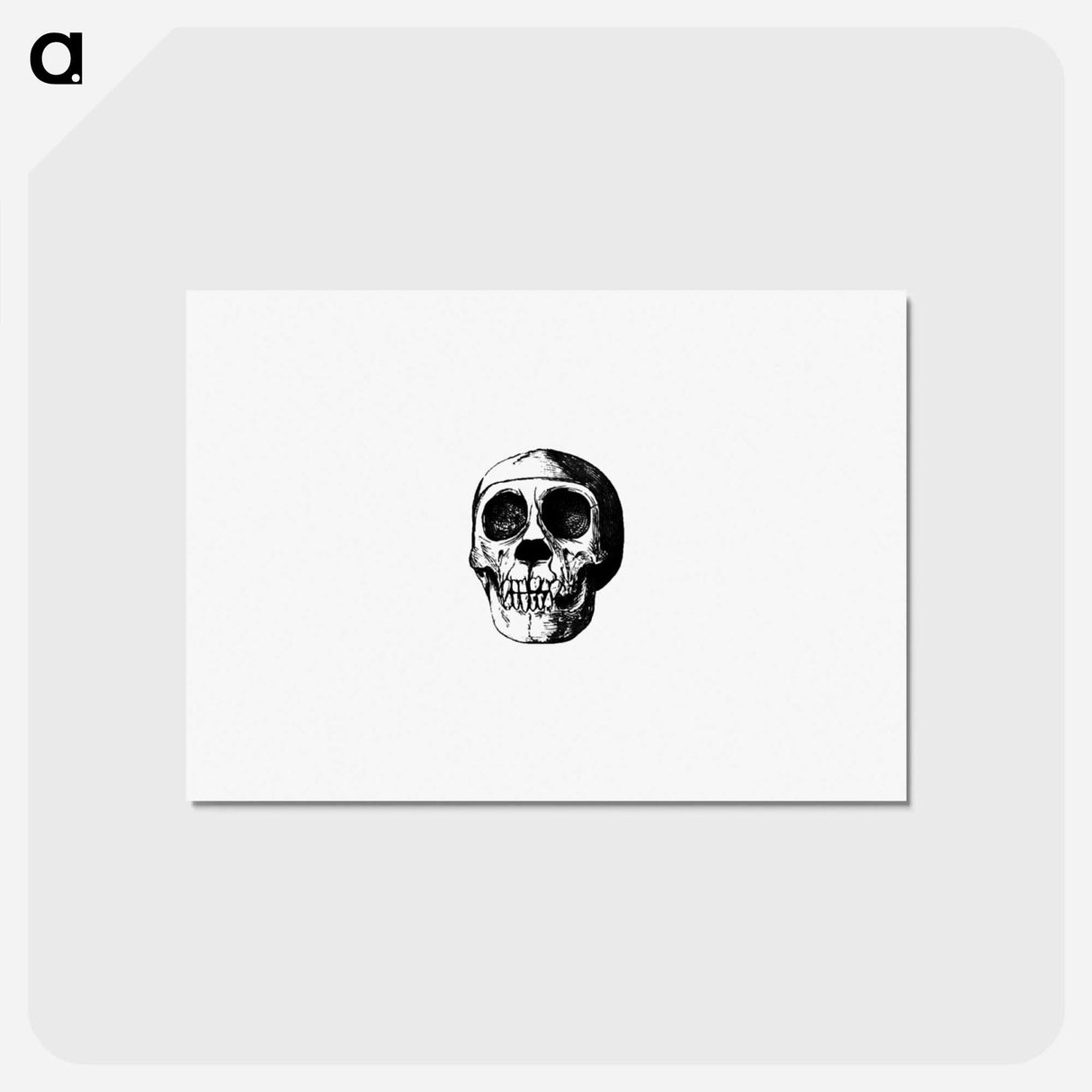 アートポストカード-Skull from Voyages and Adventures in Equatorial Africa
- 大英図書館 Postcard.