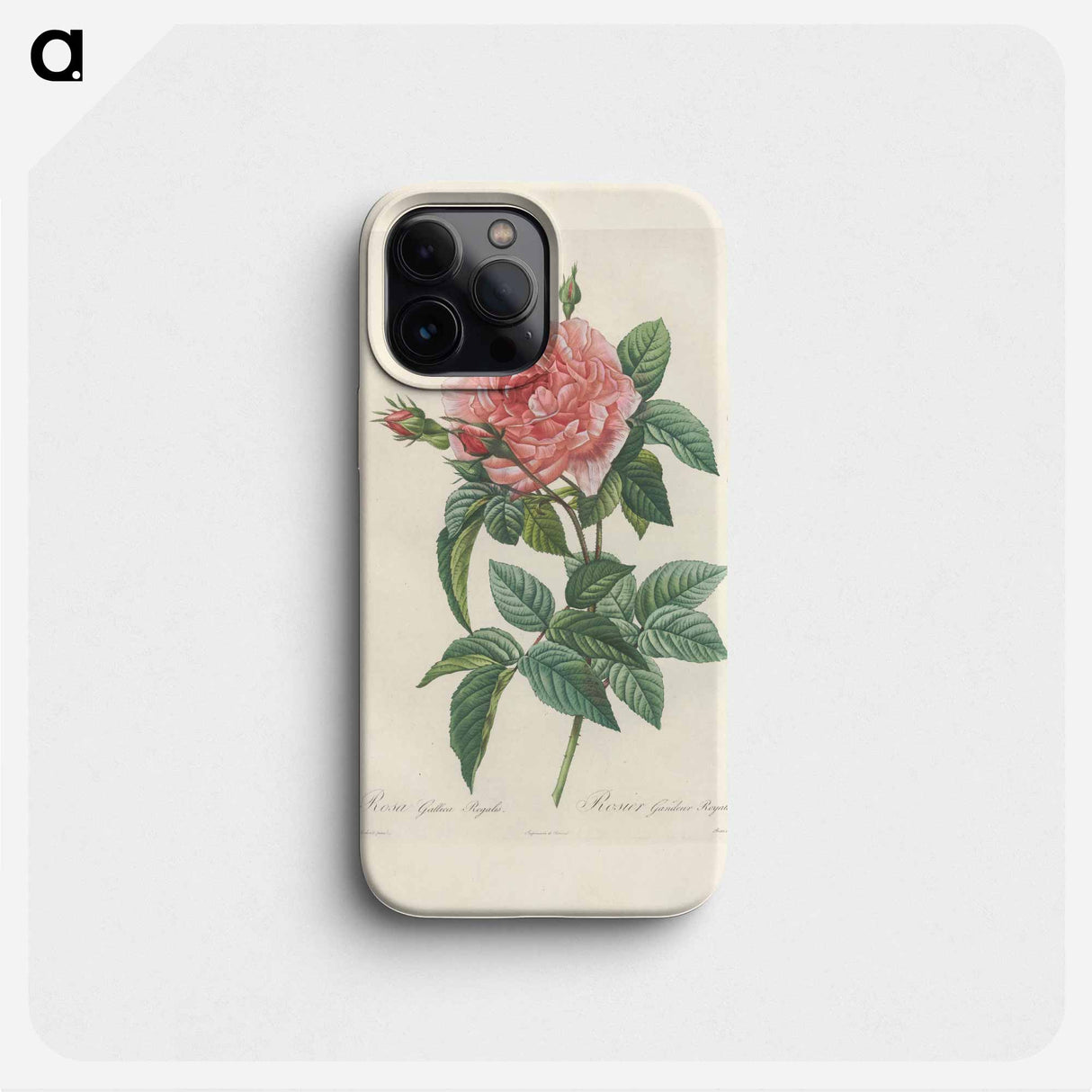 Rose illustration - ピエール ジョゼフ ルドゥーテ Phone Case.