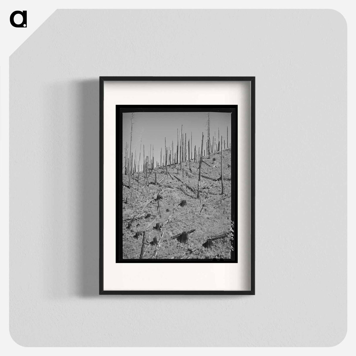 アートポスター-Burned Over Forest Land
- ラッセル リー Poster.
