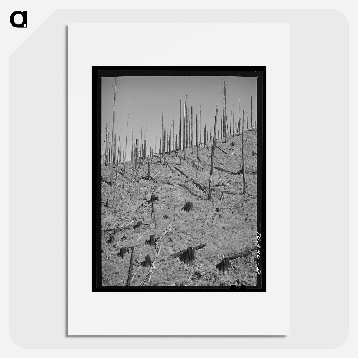 アートポスター-Burned Over Forest Land
- ラッセル リー Poster.
