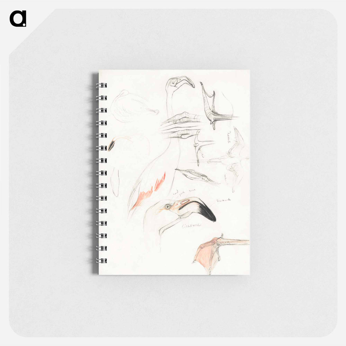 Studies van een flamingo - テオ ヴァン ホイテマ Memo.