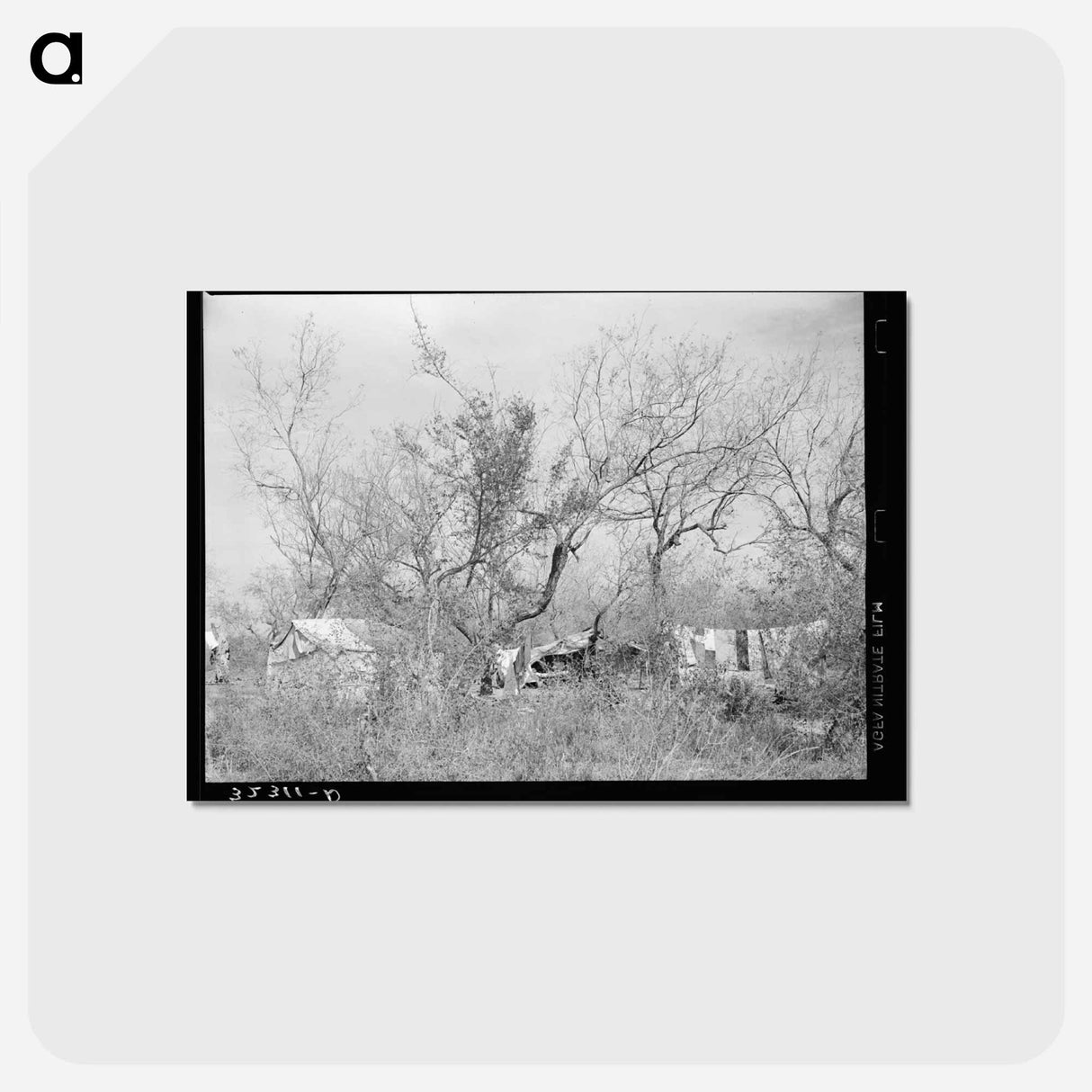アートポストカード-Migrant Camp in Mesquite
- ラッセル リー Postcard.