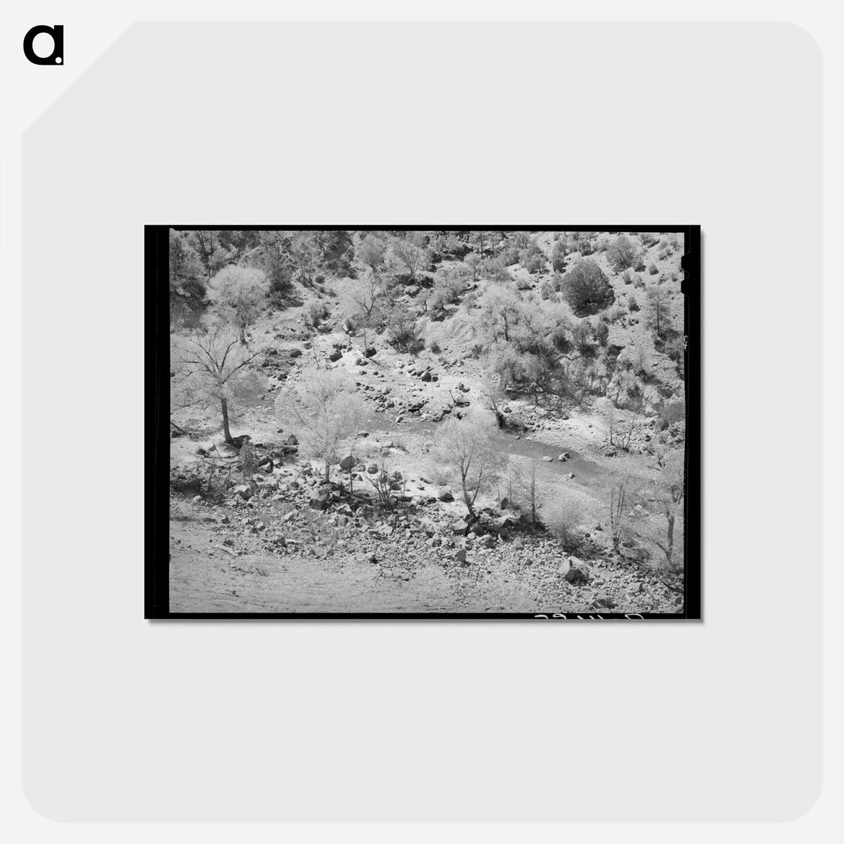 アートポストカード-Carrizo Creek Cottonwoods
- ラッセル リー Postcard.