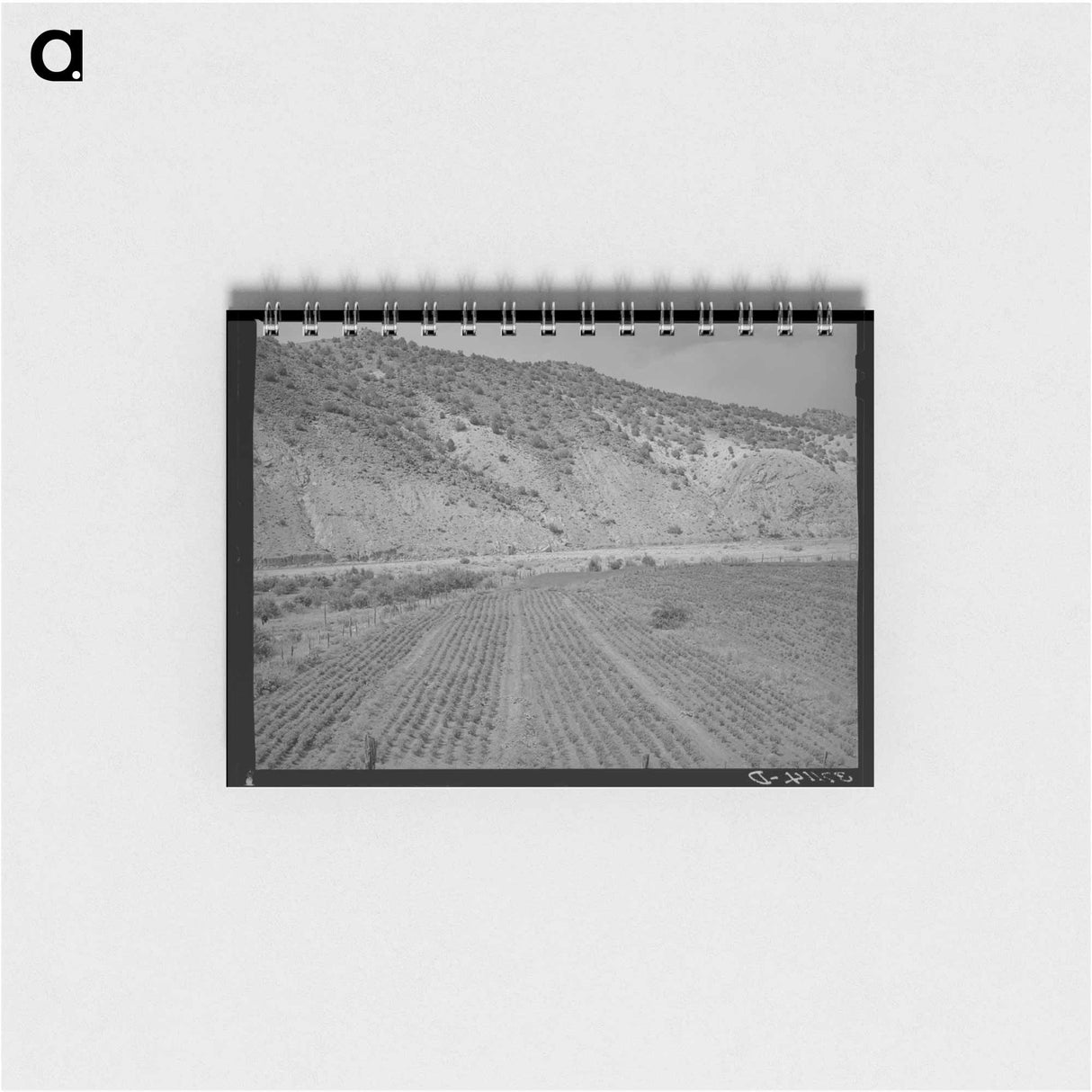 アートメモ帳-Chili Field, Dixon, New Mexico
- ラッセル リー Memo.