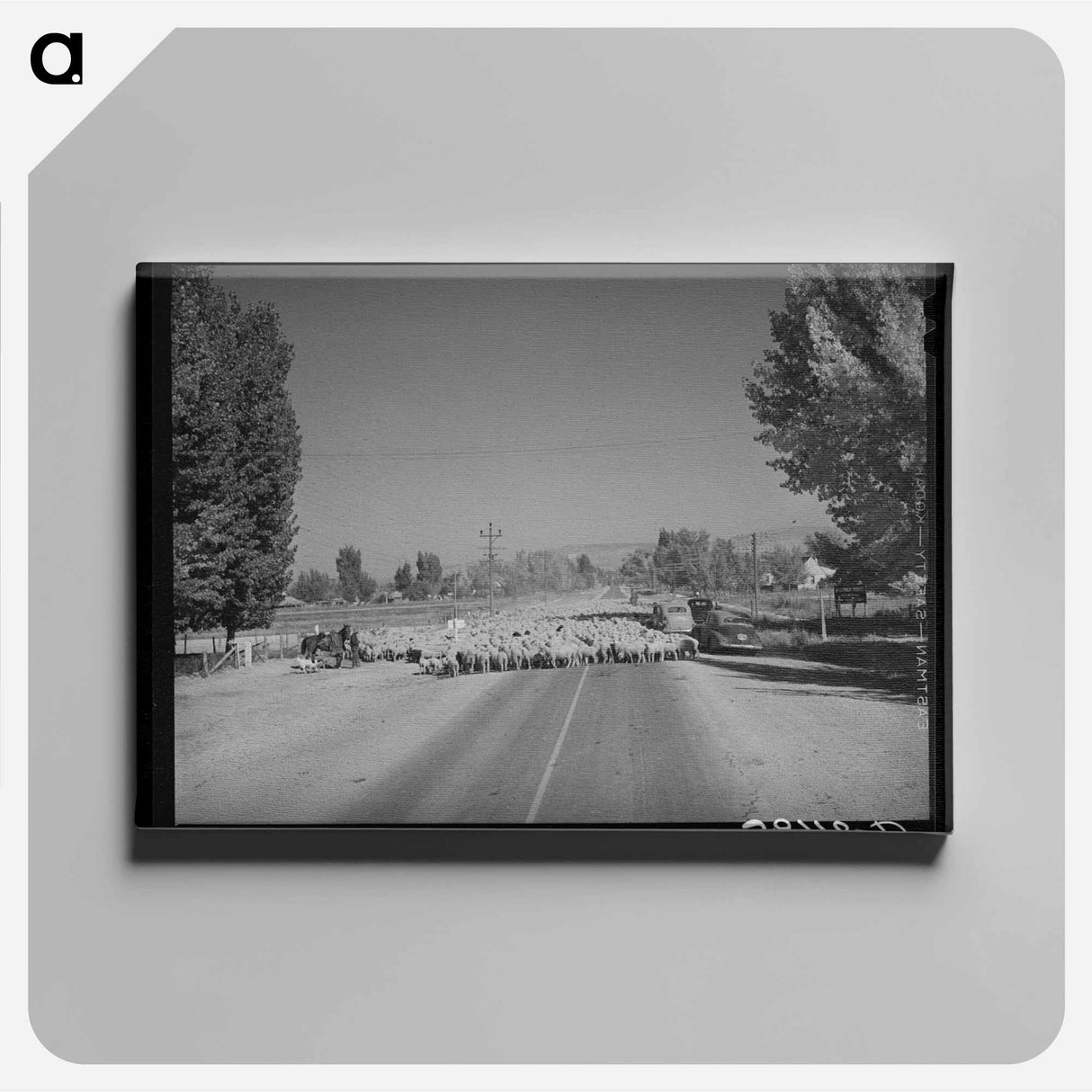 アートパネル-Sheep on Highway 89
- ラッセル リー Canvas.