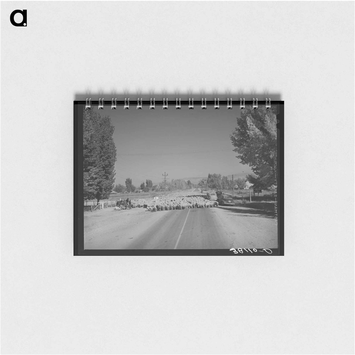 アートメモ帳-Sheep on Highway 89
- ラッセル リー Memo.