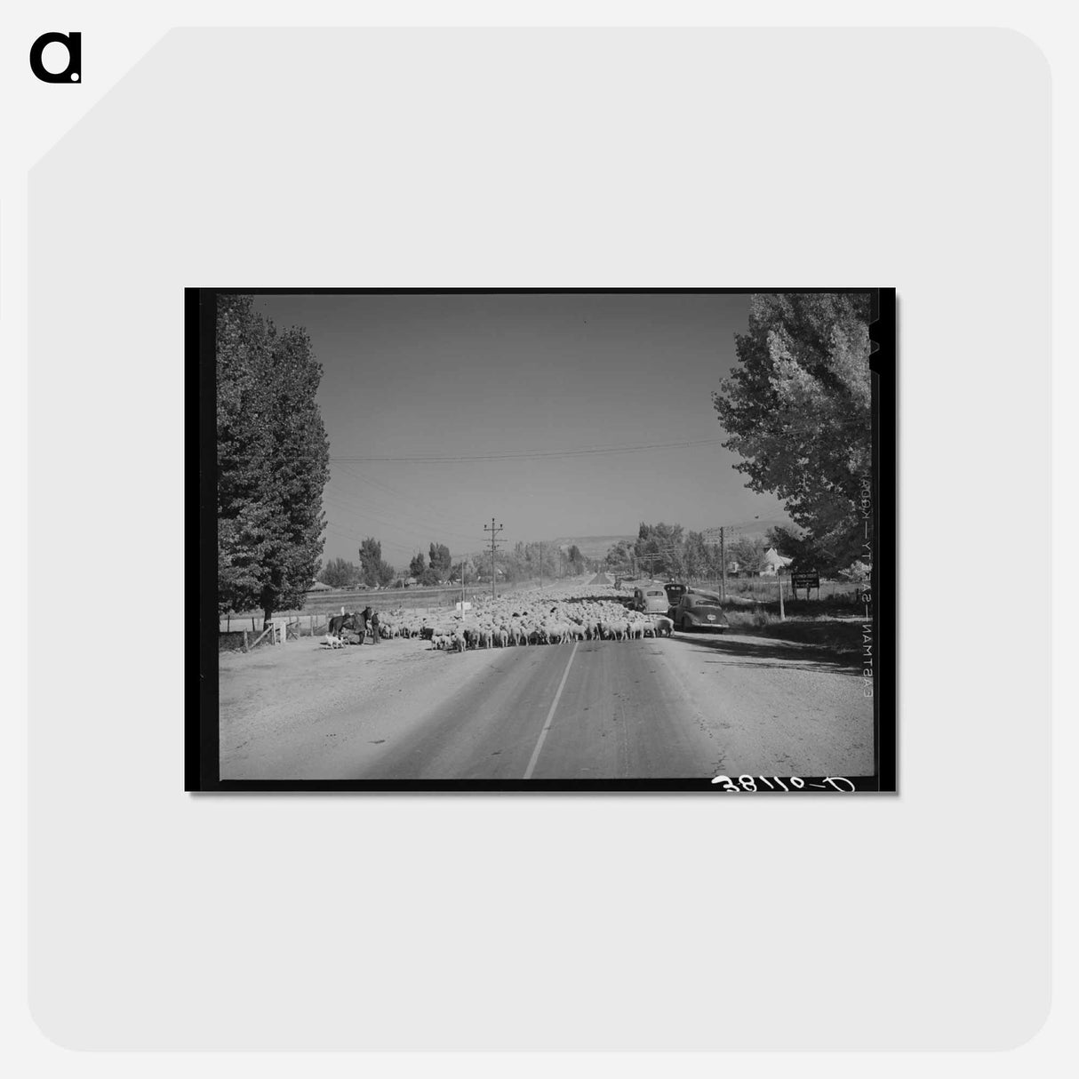 アートポストカード-Sheep on Highway 89
- ラッセル リー Postcard.