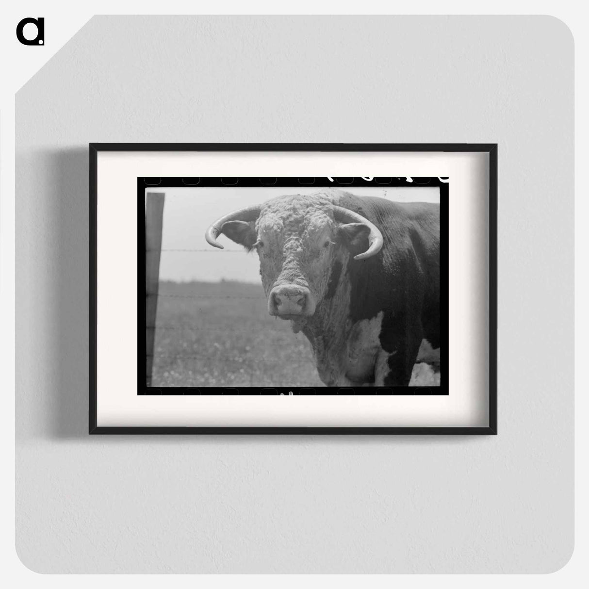 アートポスター-Bull's Head, Cruzen Ranch
- ラッセル リー Poster.