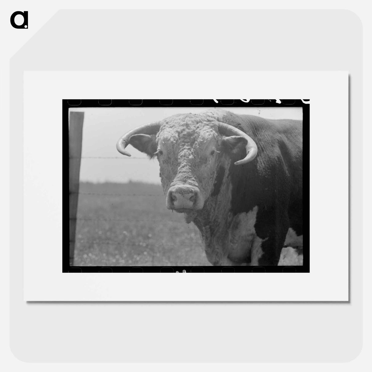 アートポスター-Bull's Head, Cruzen Ranch
- ラッセル リー Poster.