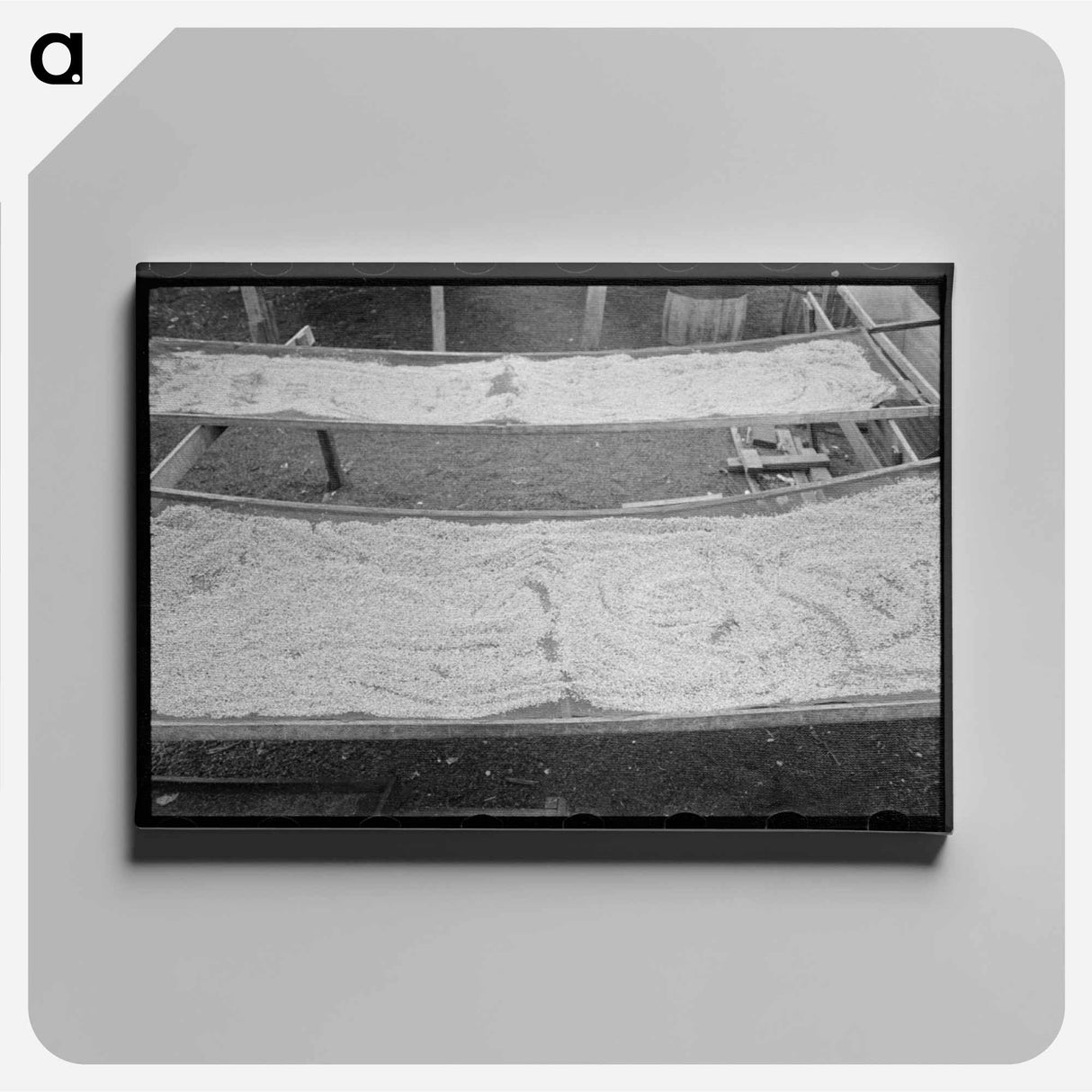 アートパネル-Pecan Drying, San Antonio
- ラッセル リー Canvas.