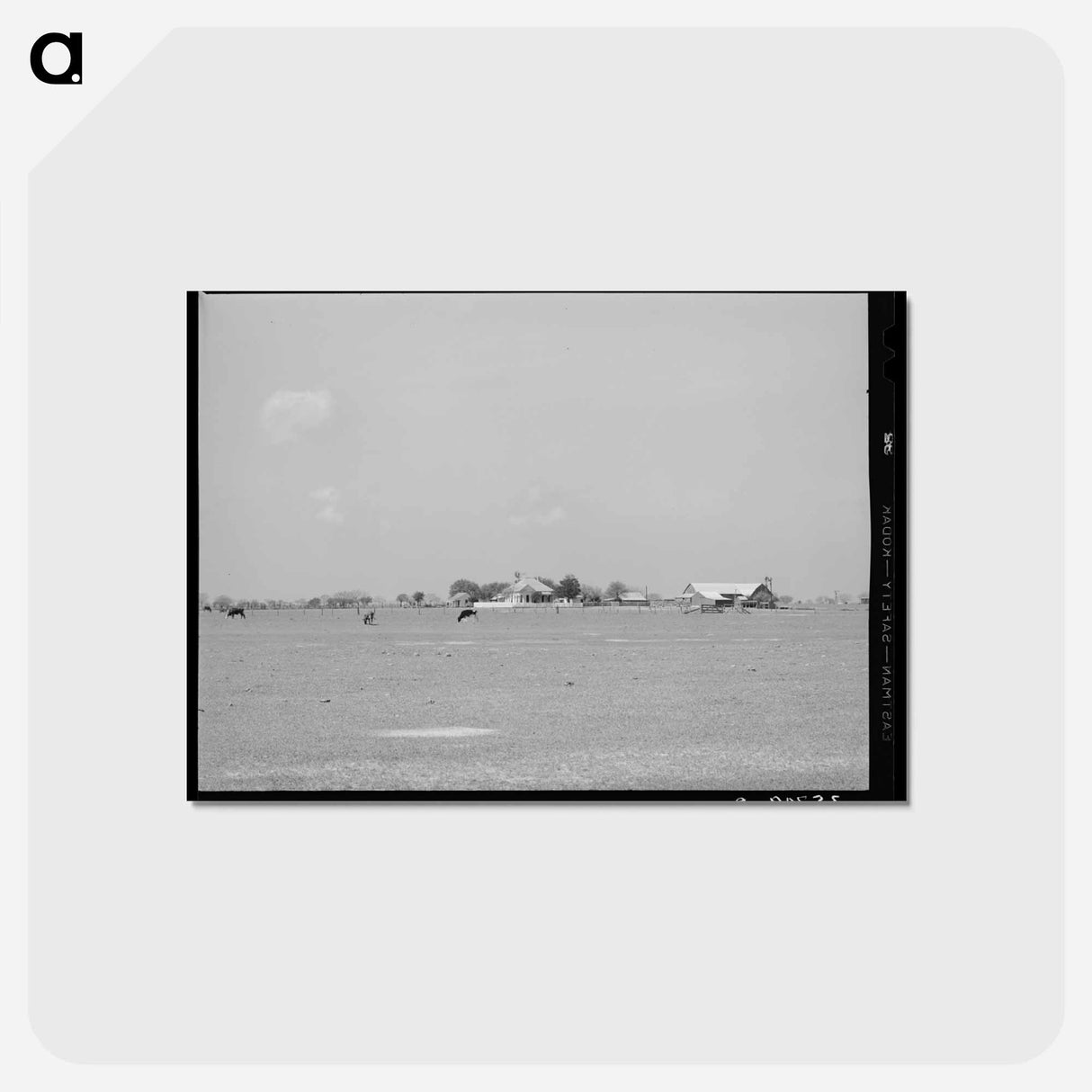 アートポストカード-Farmstead in Refugio County
- ラッセル リー Postcard.