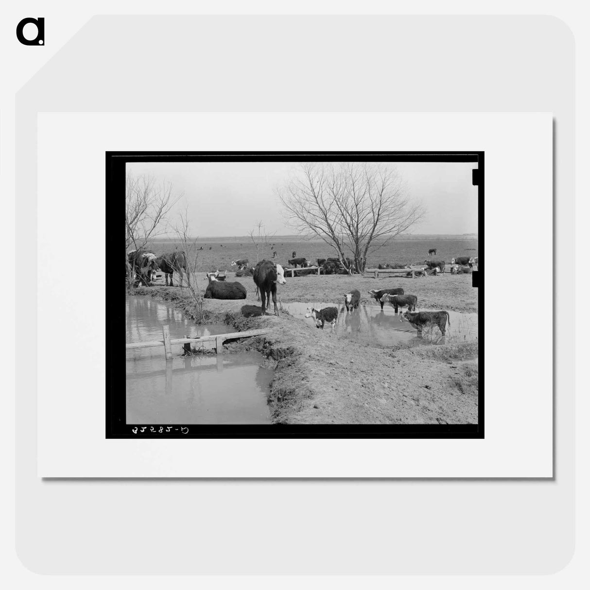 アートポスター-Cattle at Water Hole
- ラッセル リー Poster.