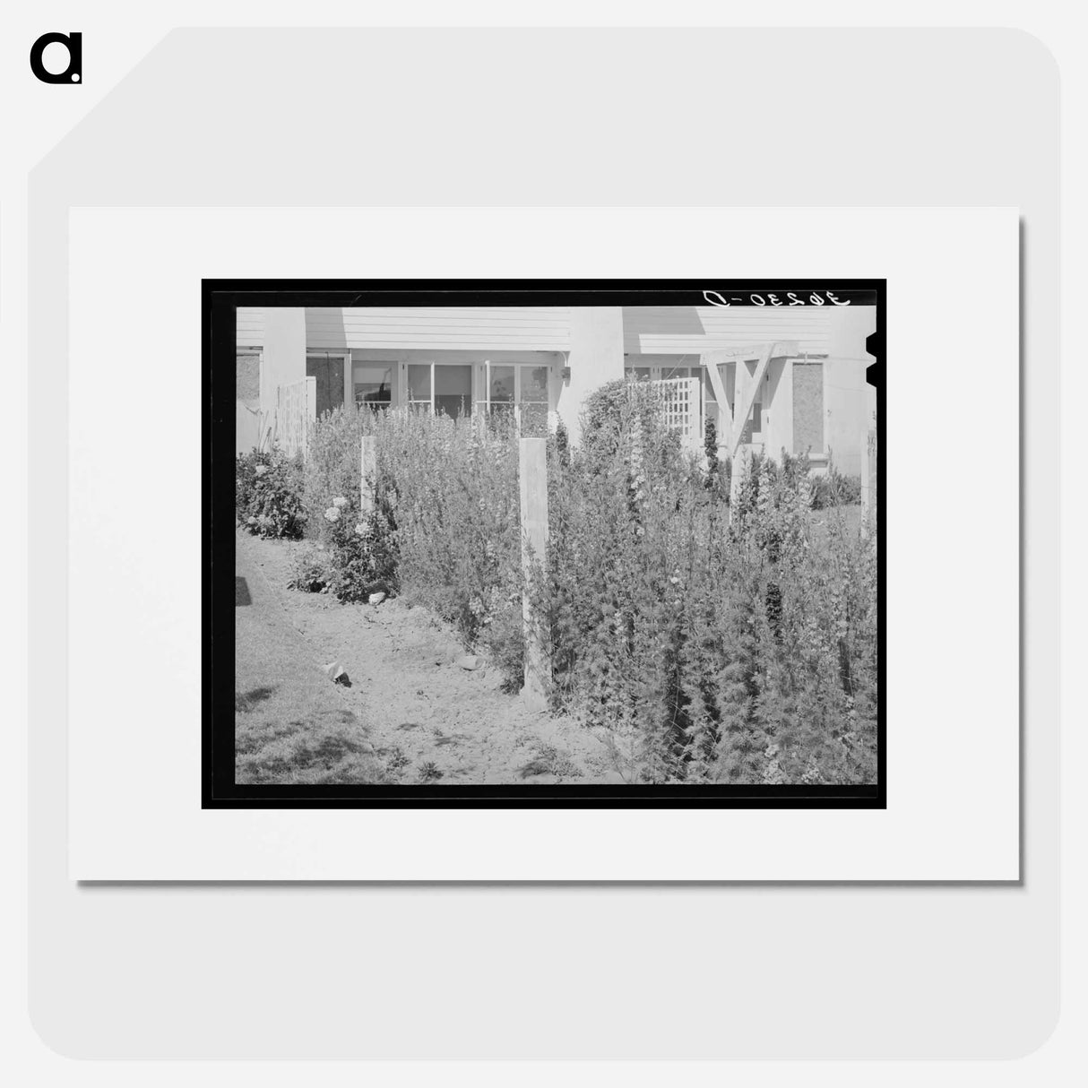 アートポスター-Arizona Apartment Backyard
- ラッセル リー Poster.