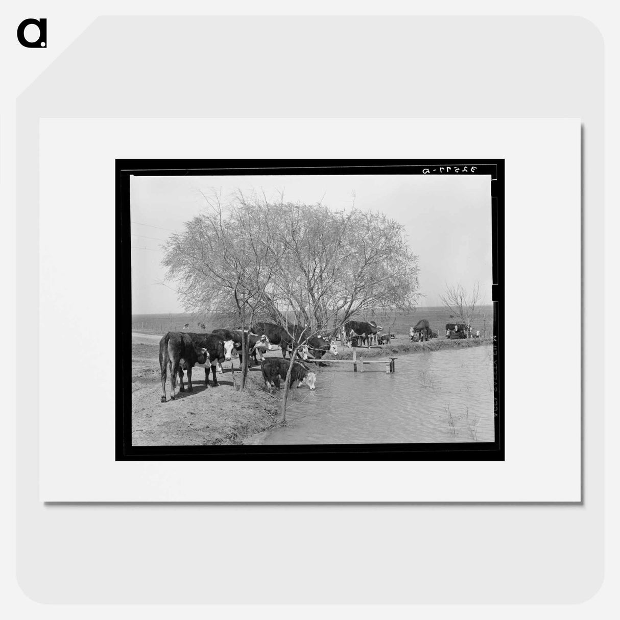 アートポスター-Cattle at Water Hole
- ラッセル リー Poster.