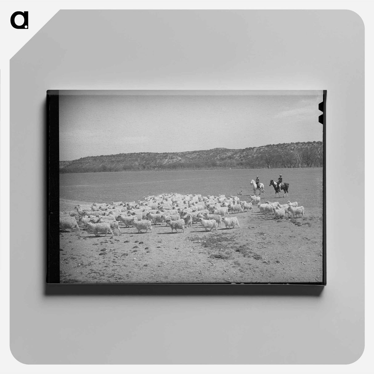 アートパネル-Shearing Goats, Kimble County
- ラッセル リー Canvas.