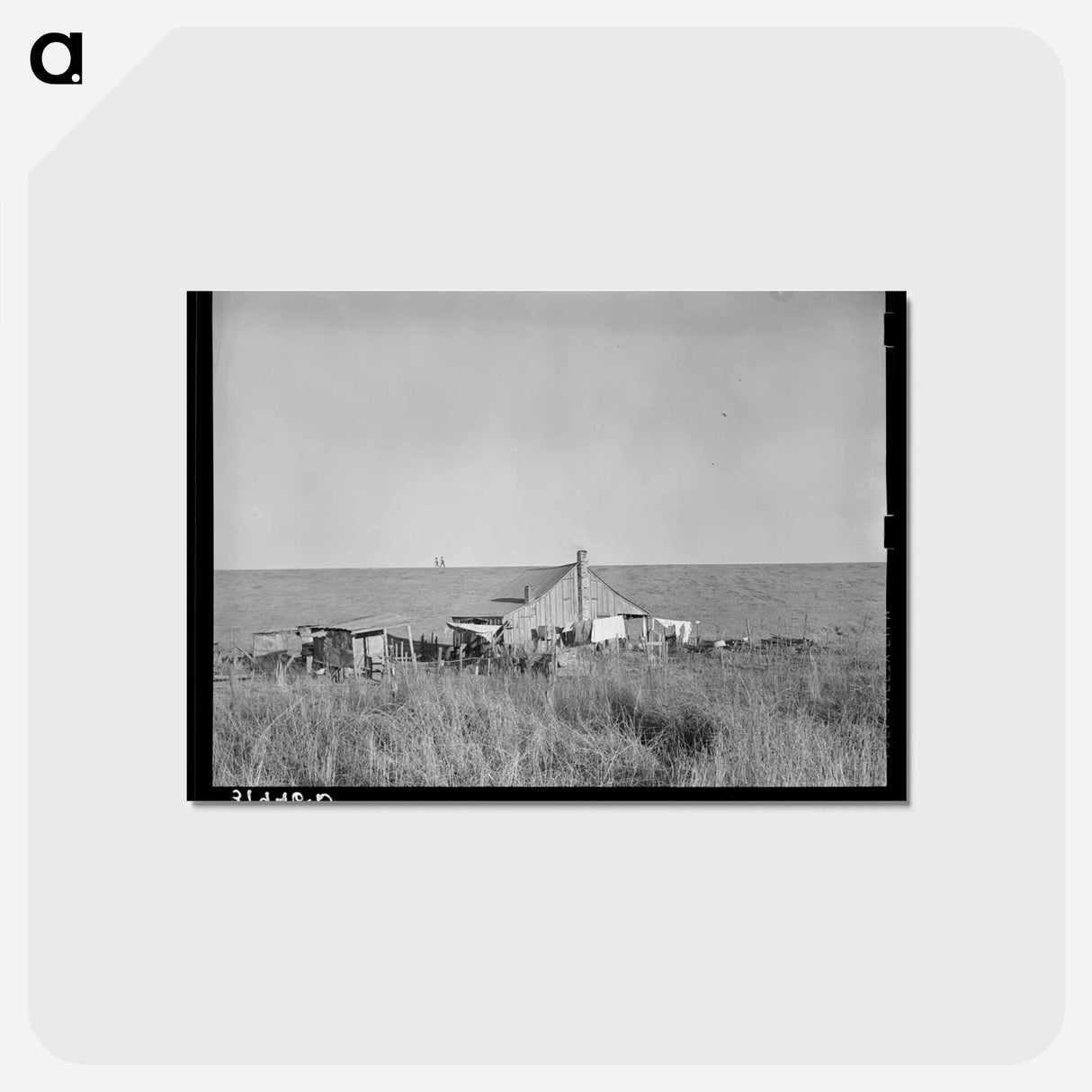 アートポストカード-Sharecropper's Farmstead
- ラッセル リー Postcard.