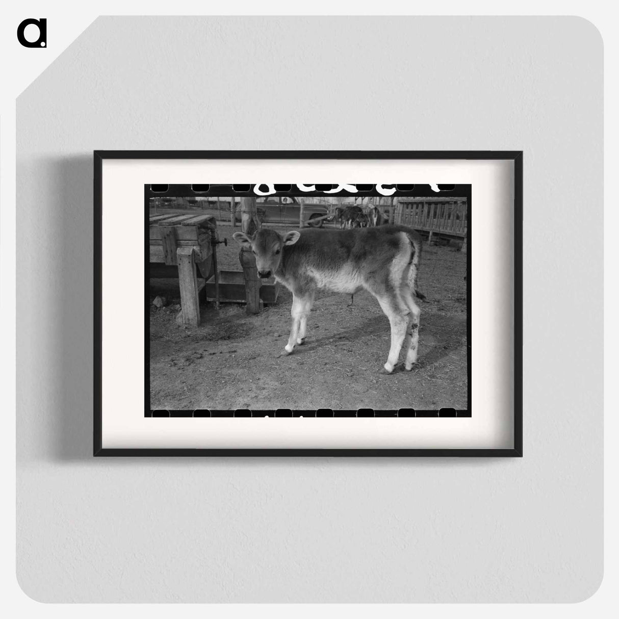 アートポスター-Calf at Casa Grande Farms
- ラッセル リー Poster.
