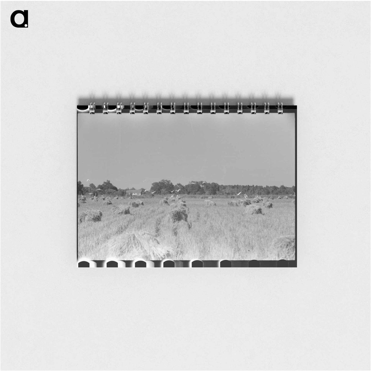 アートメモ帳-Cranes in Rice Field
- ラッセル リー Memo.