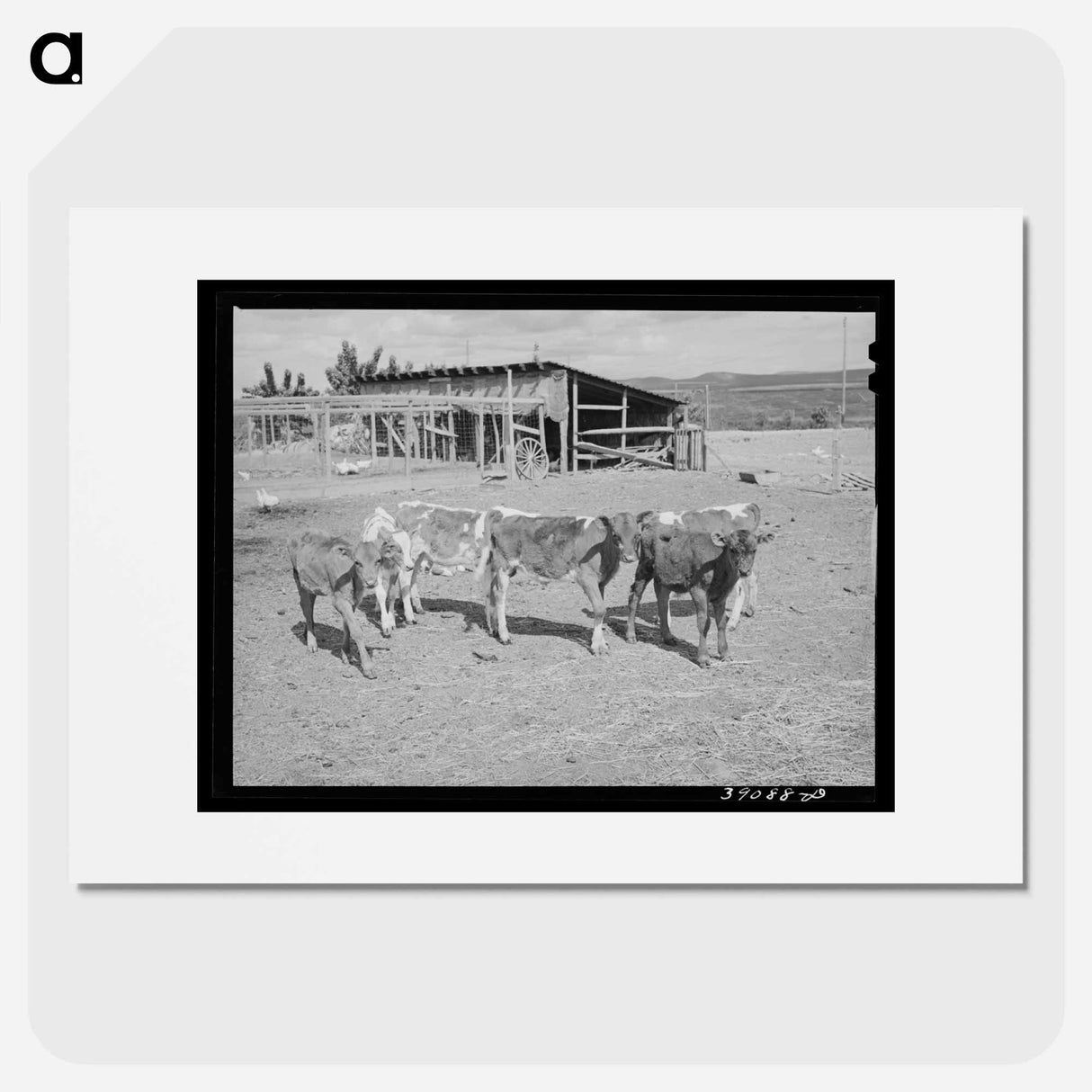 アートポスター-Calves at Dead Ox Flat
- ラッセル リー Poster.
