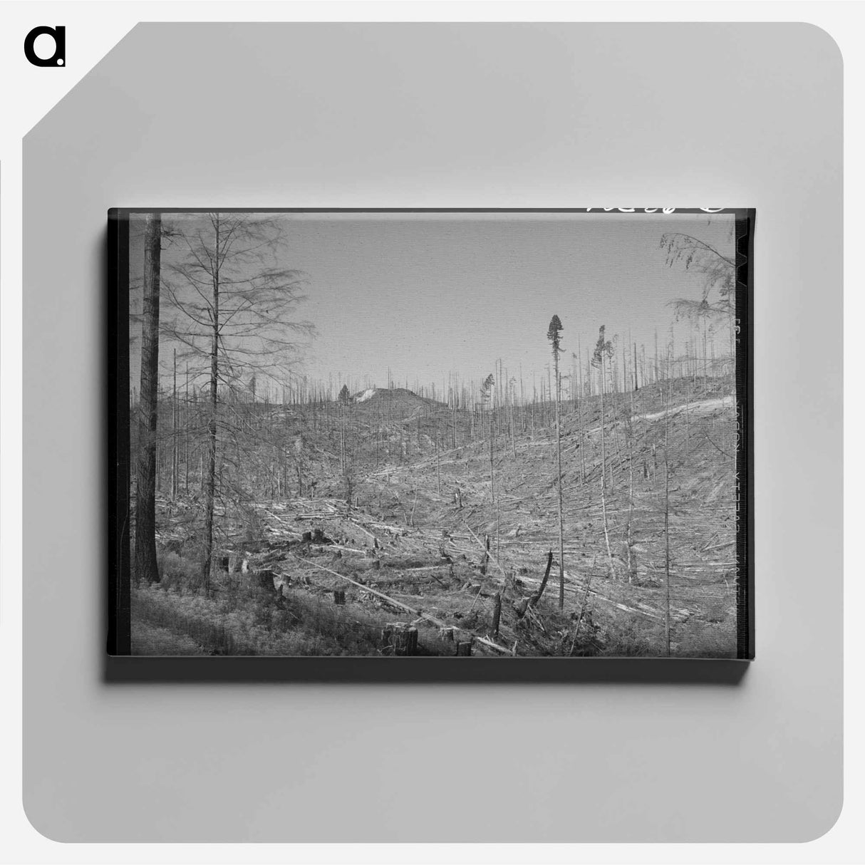 アートパネル-Cut-over Forest Land
- ラッセル リー Canvas.