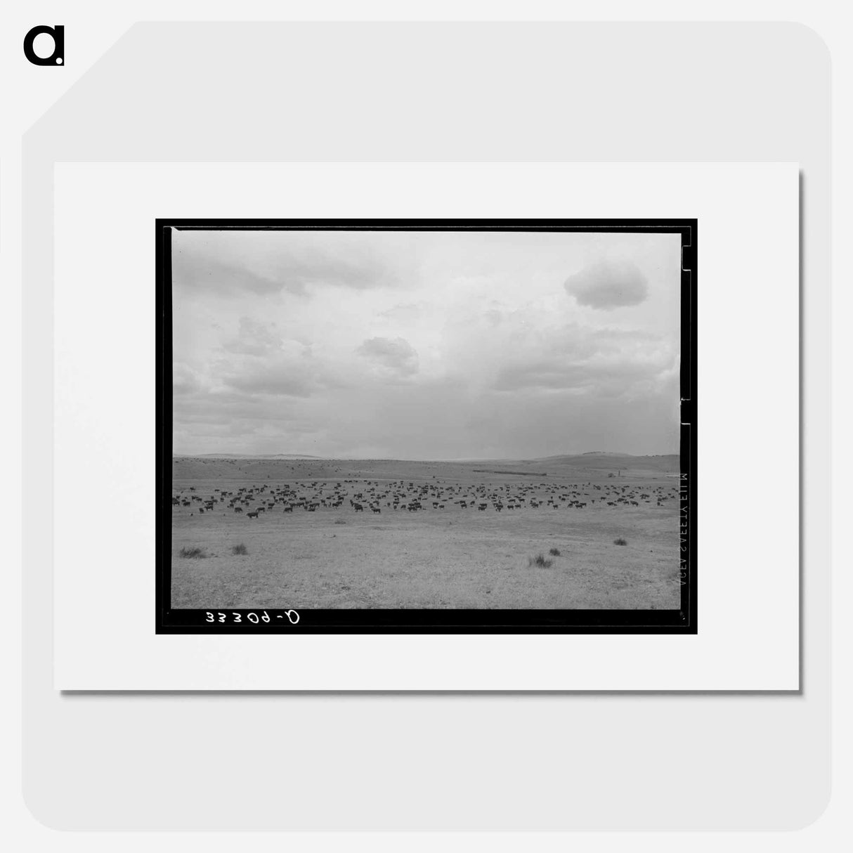 アートポスター-Cattle Roundup Near Marfa
- ラッセル リー Poster.