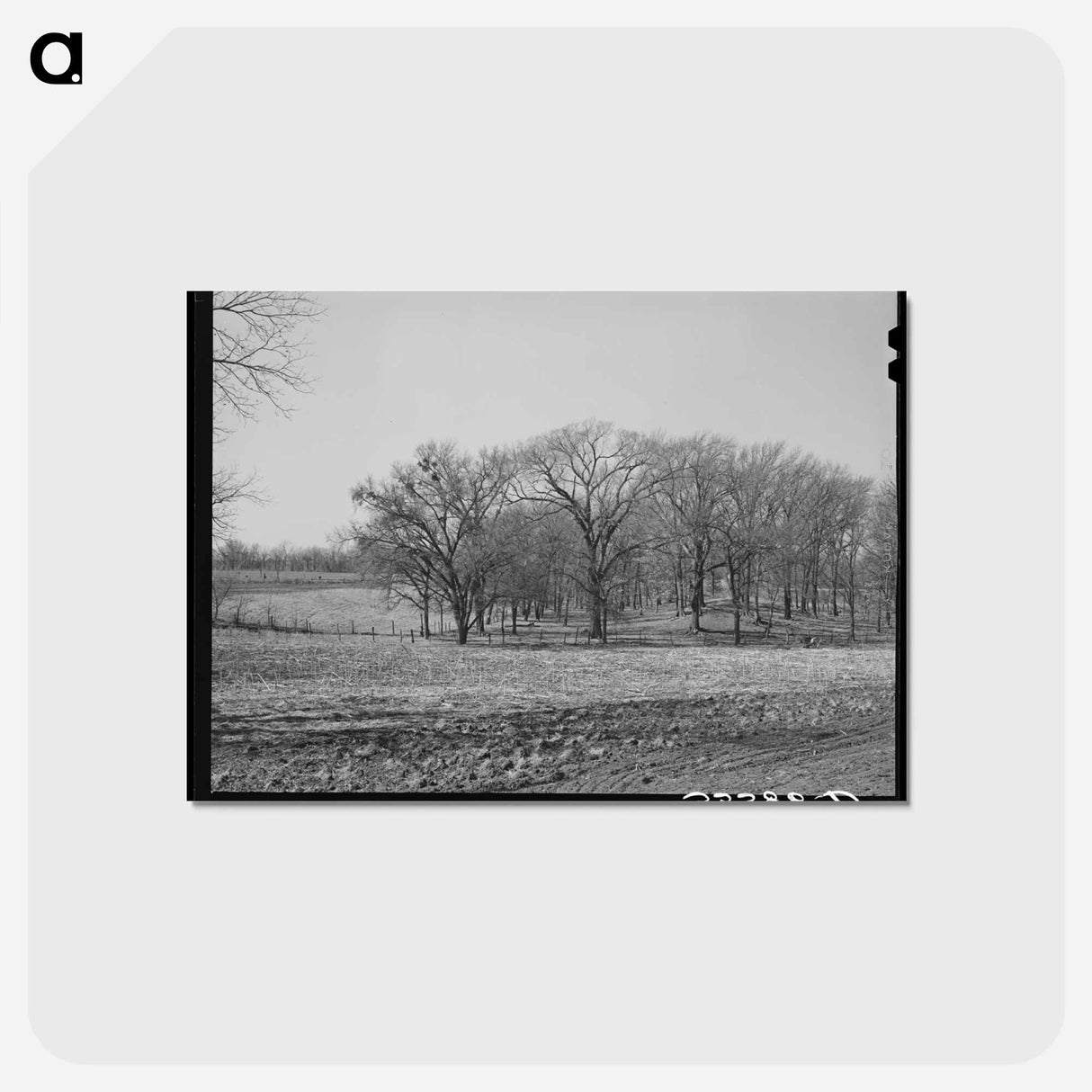 アートポストカード-Landscape. McIntosh County, Oklahoma
- ラッセル リー Postcard.