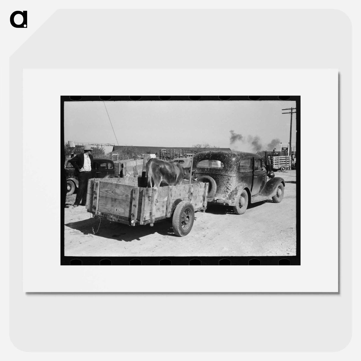 アートポスター-Cattle at Stockyards Auction, San Angelo, Texas
- ラッセル リー Poster.