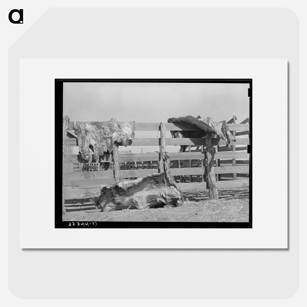 アートポスター-Cattle Hides on Corral Fence, Spur, Texas
- ラッセル リー Poster.